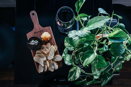 How Indoor Plants Boost Your Restaurant Business