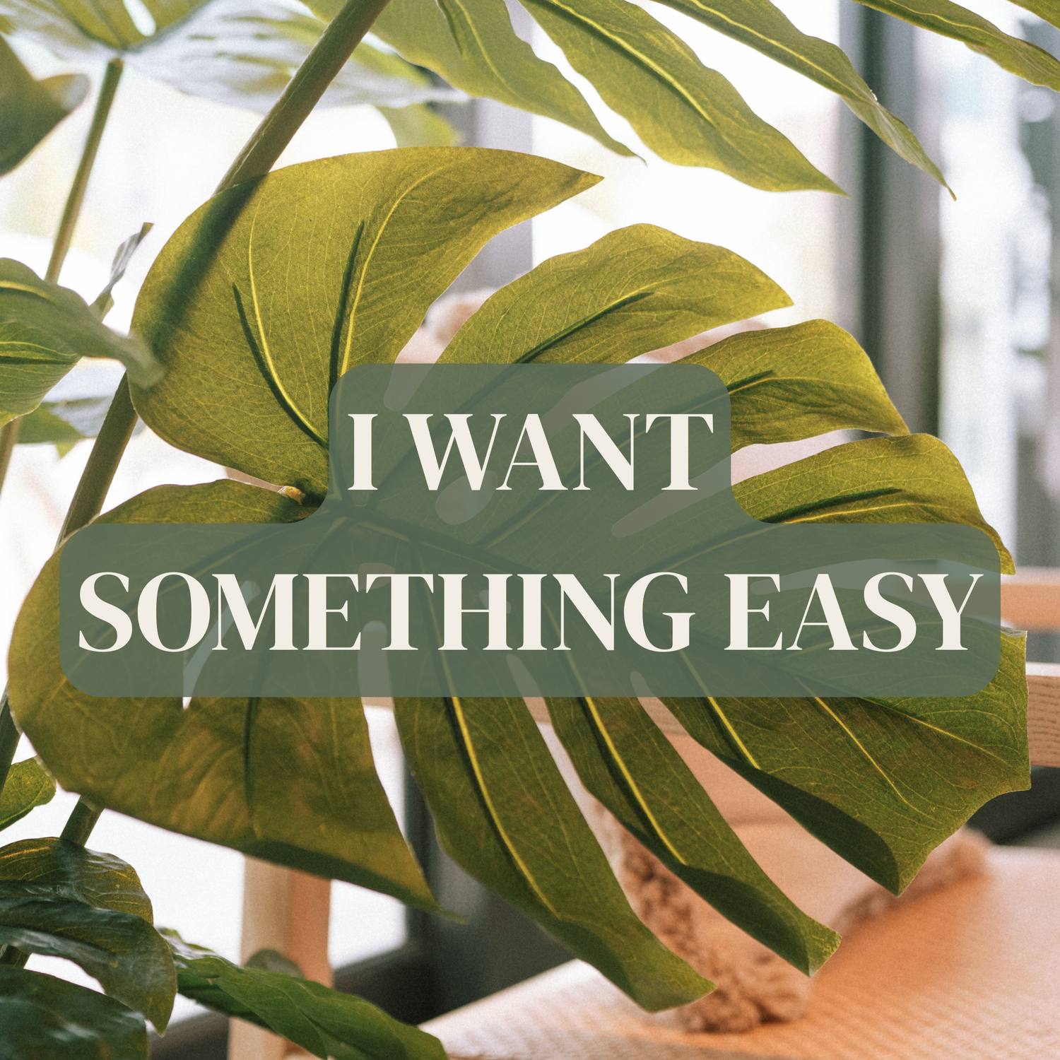 Beginner-Friendly