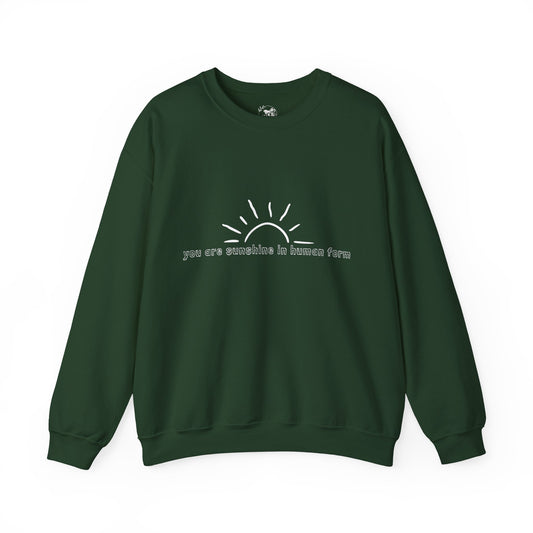 You Remind Me of Sunshine Unisex Sweatshirt