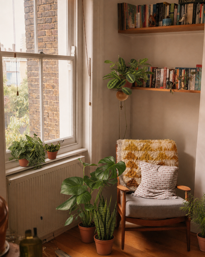 A cozy corner of a room with a wooden armchair, a patterned throw blanket, a textured yellow-and-white pillow, and several potted green plants. A window on the left shows a brick wall outside, and wooden bookshelves line the wall above.